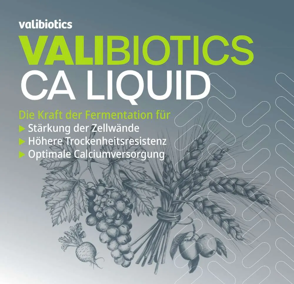 Valibiotics CA Liquid